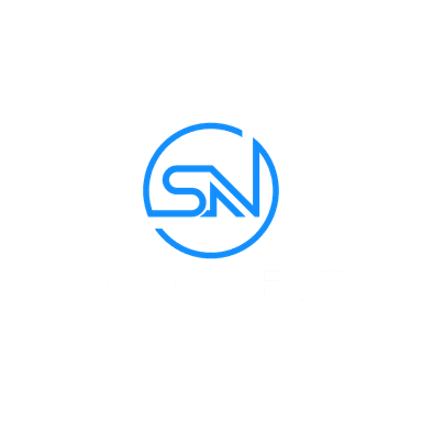 Logo firmy SoftNest z niebieskimi literami S i N tworzącymi okrąg